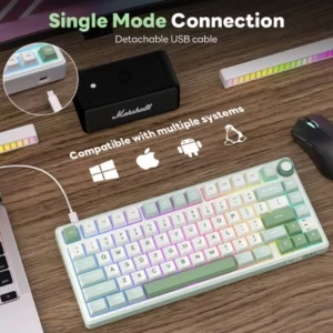 Teclado Mecánico RK Royal Kludge R75 con Cable